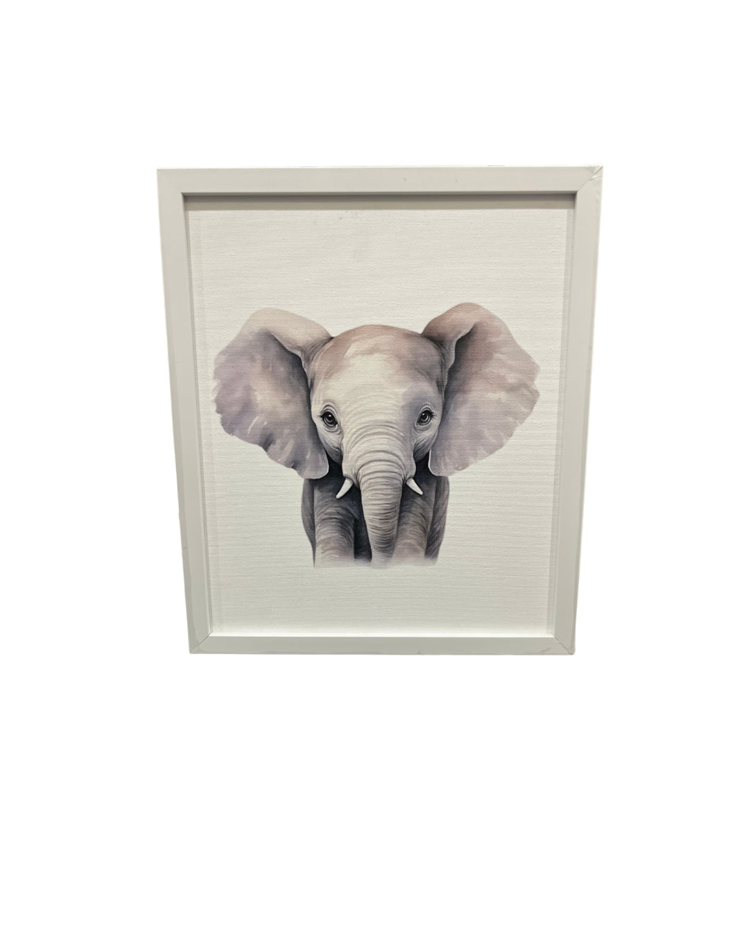 Wild Wonders Baby Animal Set of Frames- Animal Adventure