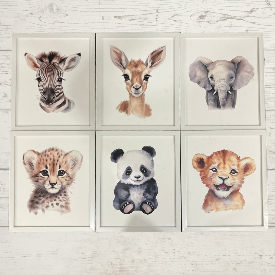 Wild Wonders Baby Animal Set of Frames- Animal Adventure