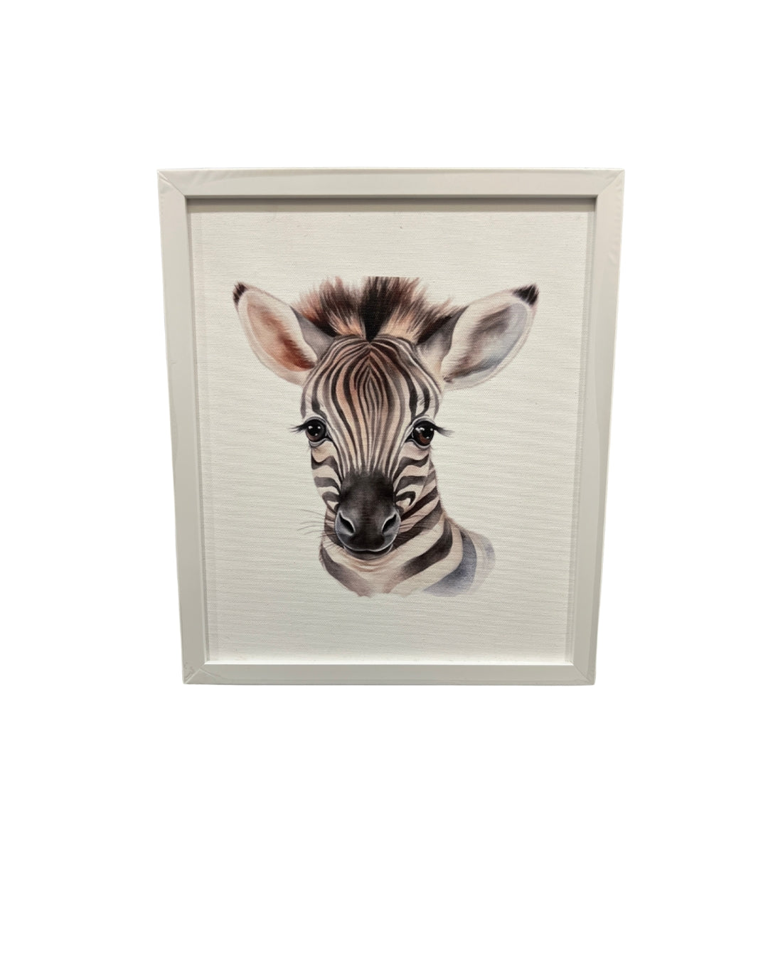 Wild Wonders Baby Animal Set of Frames- Animal Adventure