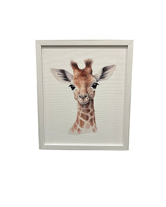 Wild Wonders Baby Animal Set of Frames