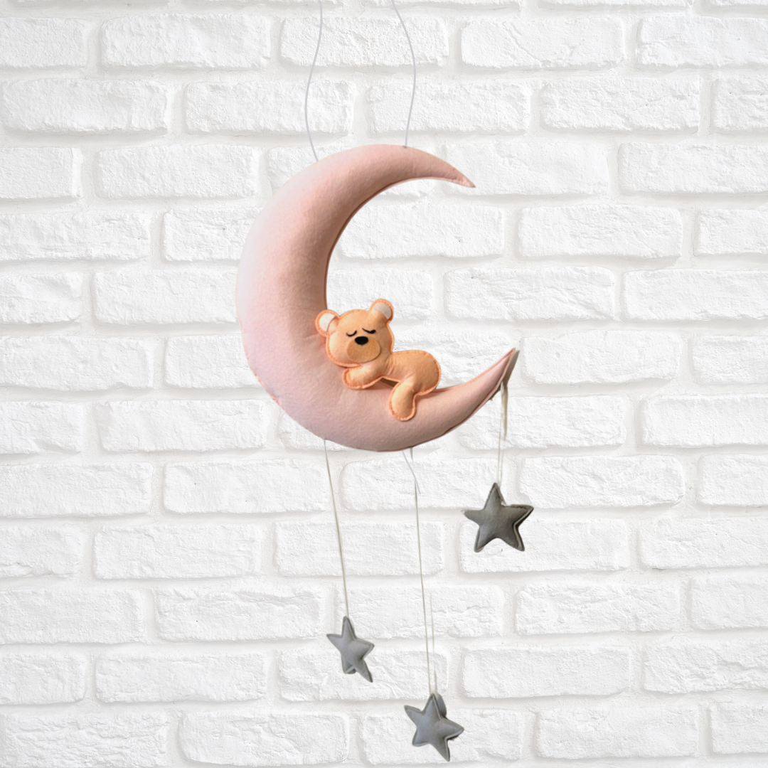 Colourful Bear on Moon Hanging